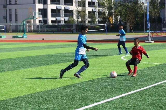 羽毛球亚锦赛：石宇奇男单登顶 国羽两冠两亚收官